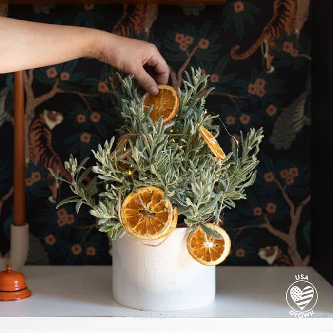 FarmGirl Flowers Review Must Read This Before Buying