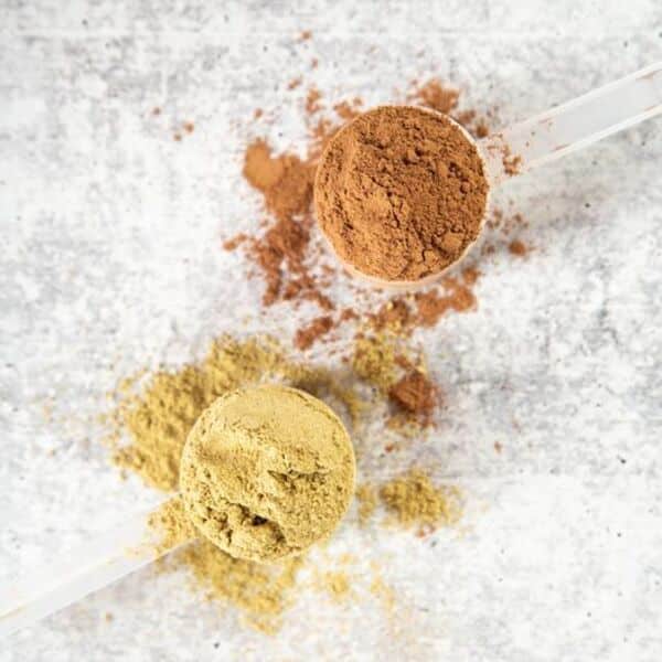 Gundry MD ProPlant Complete Shake Review