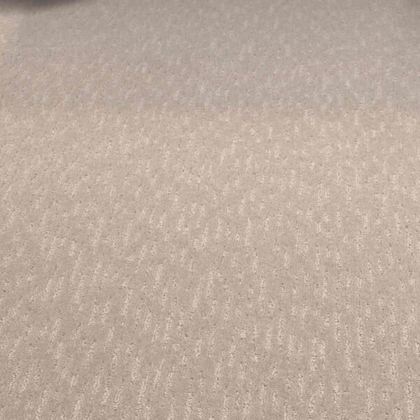 Mohawk Flooring SmartStrand Pet Friendly Carpet