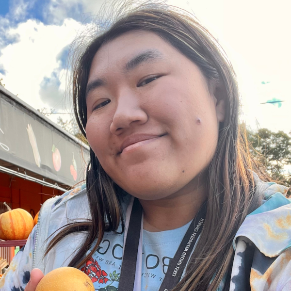 Kencko Review Must Read This Before Buying