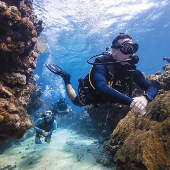 Scuba Review Must Read This Before Buying