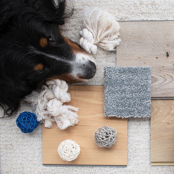 Shaw Floors Review 8 Shaw Floors Review