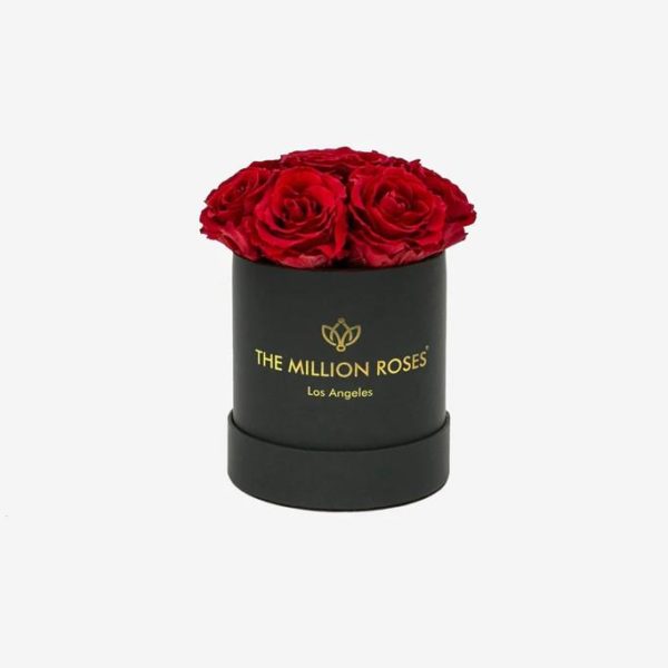 The Million Roses Review Must Read This Before Buying