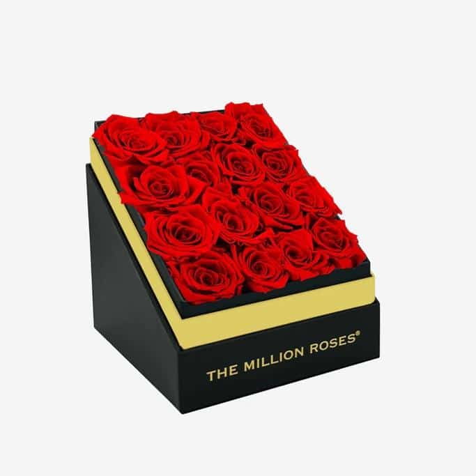 The Million Roses Review
