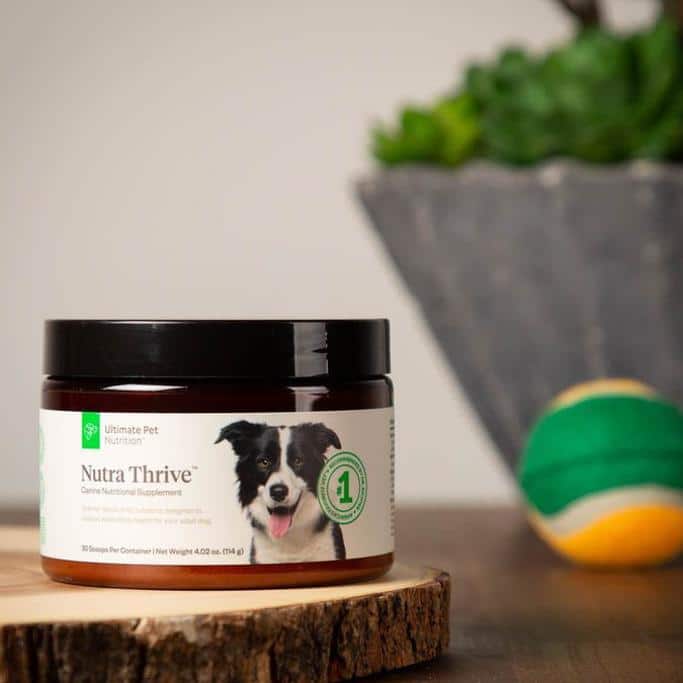 Ultimate Pet Nutrition Nutra Thrive For Dogs Review 4 Ultimate Pet Nutrition Nutra Thrive For Dogs Review