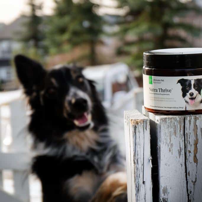 Ultimate Pet Nutrition Nutra Thrive For Dogs Review