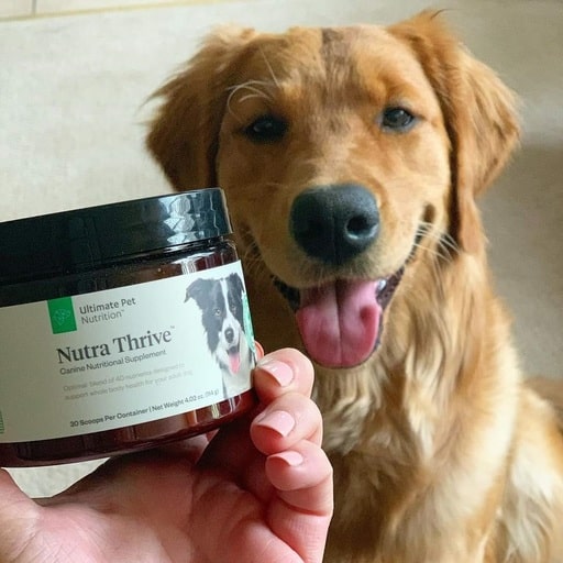 Ultimate Pet Nutrition Nutra Thrive For Dogs Review