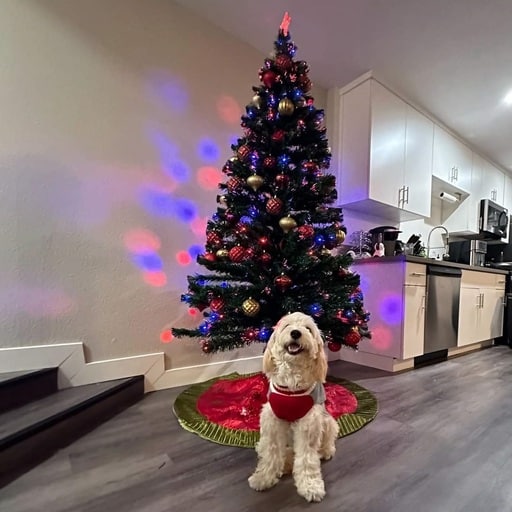 Ultimate Pet Nutrition Nutra Thrive For Dogs Review 12 Ultimate Pet Nutrition Nutra Thrive For Dogs Review