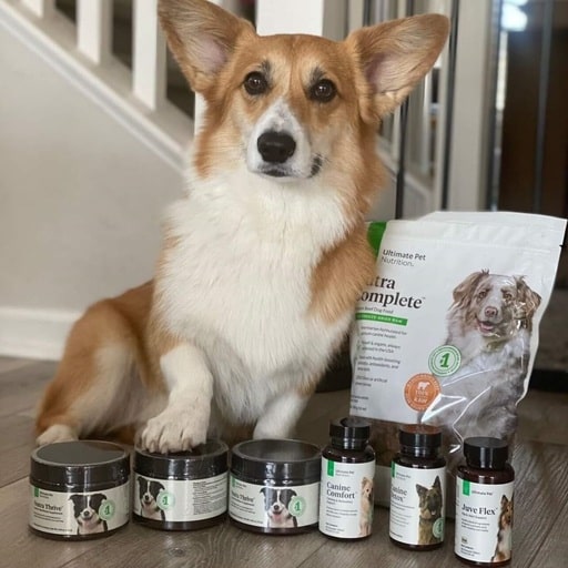 Ultimate Pet Nutrition Nutra Thrive For Dogs Review 13 Ultimate Pet Nutrition Nutra Thrive For Dogs Review