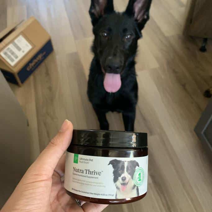 Ultimate Pet Nutrition Review
