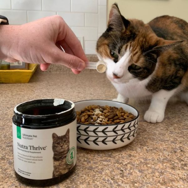 Ultimate Pet Nutrition Review Must Read This Before Buying