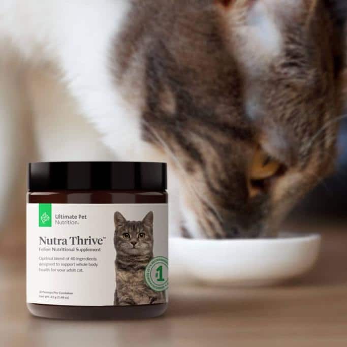 Ultimate Pet Nutrition Review 8 Ultimate Pet Nutrition Review