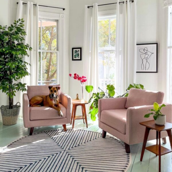 Levity Home Review Must Read This Before Buying