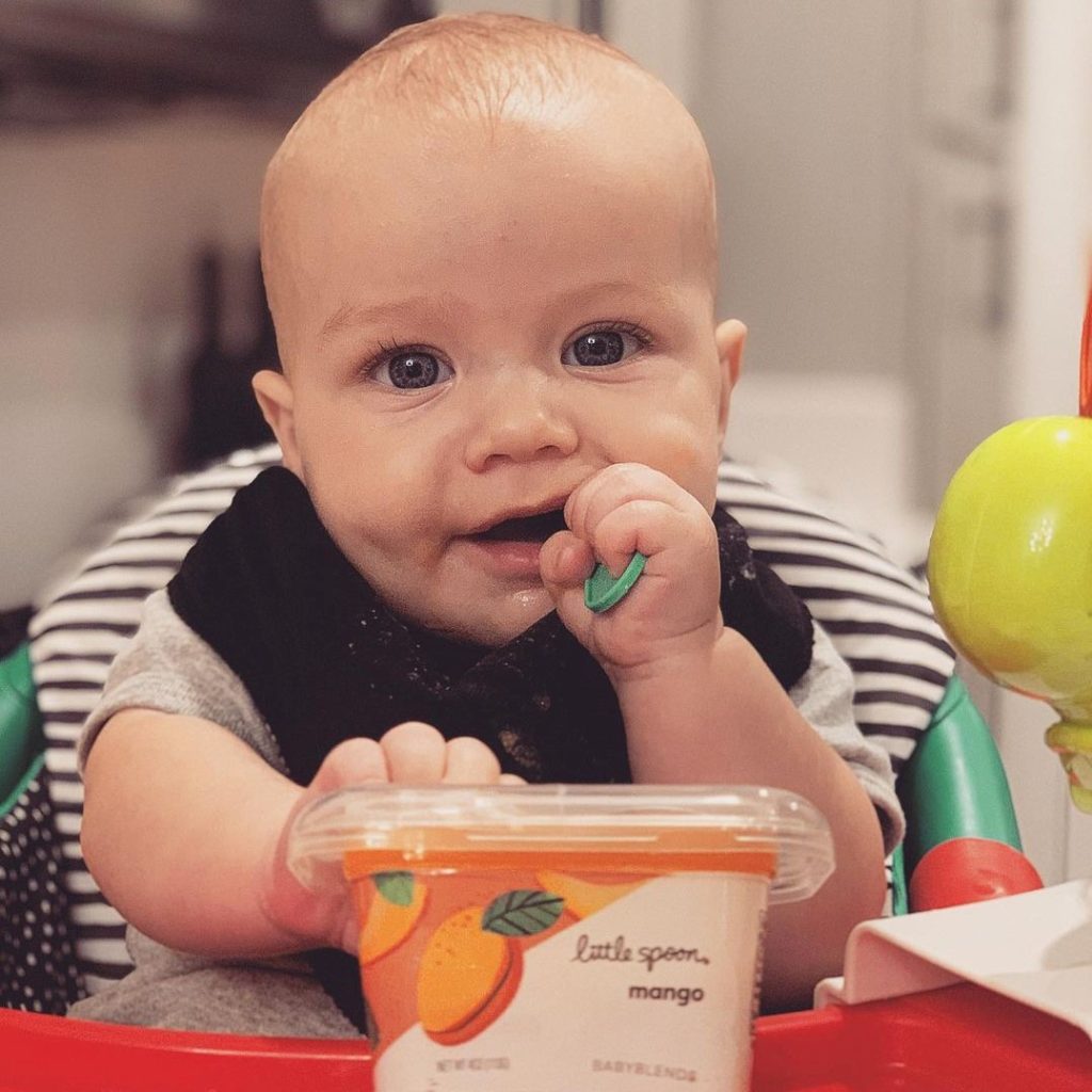 Little Spoon Baby Food Review