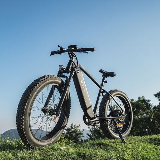 DYU Ebike Review