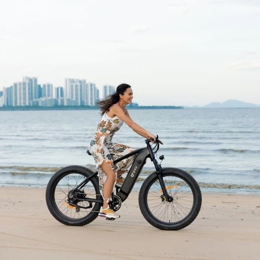 DYU Ebike Review