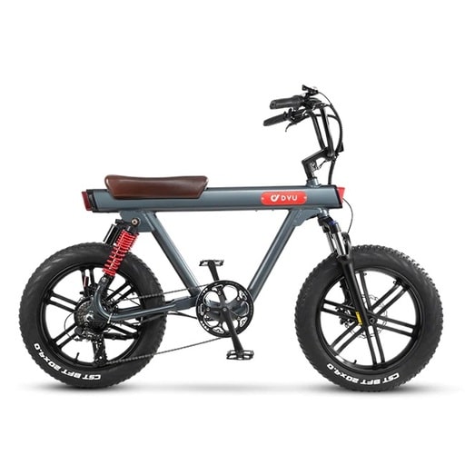 DYU Ebike Review