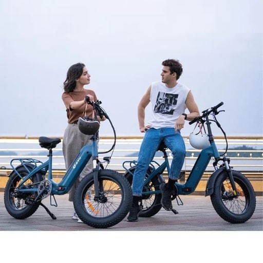 DYU Ebike Review