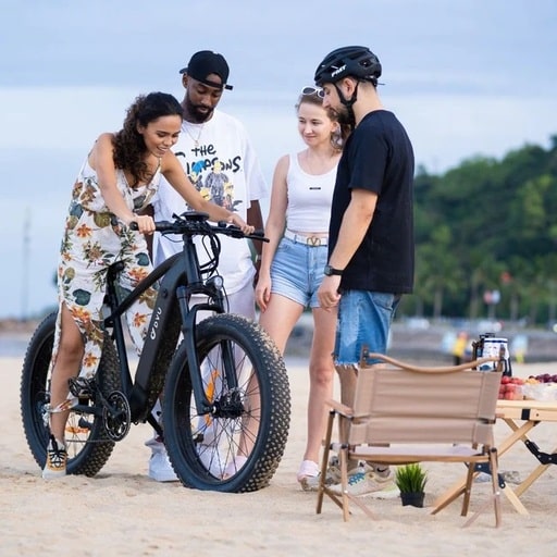 DYU Ebike Review