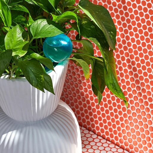 Relax and Radiate Crate Review