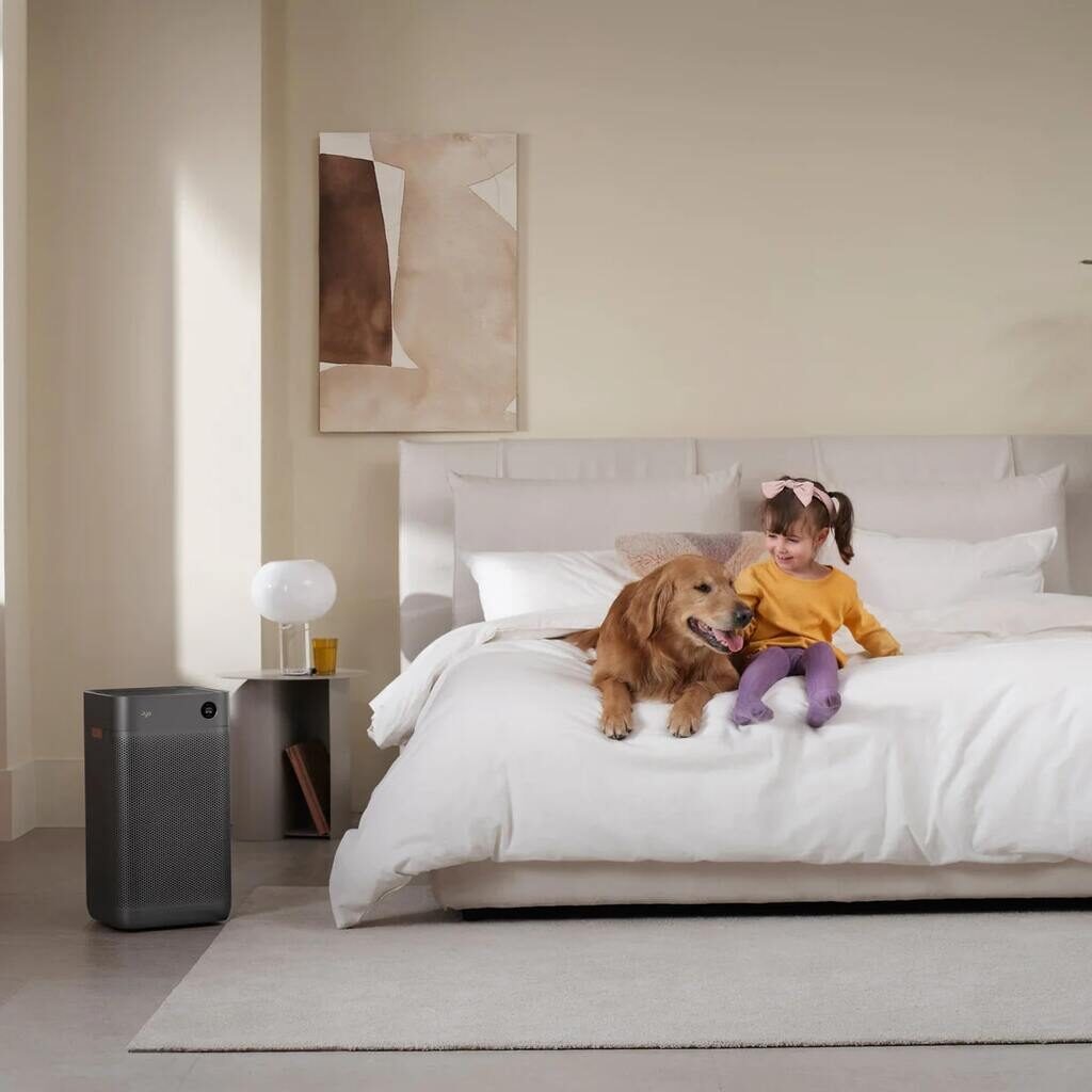 11 Best Air Purifiers for Pets 