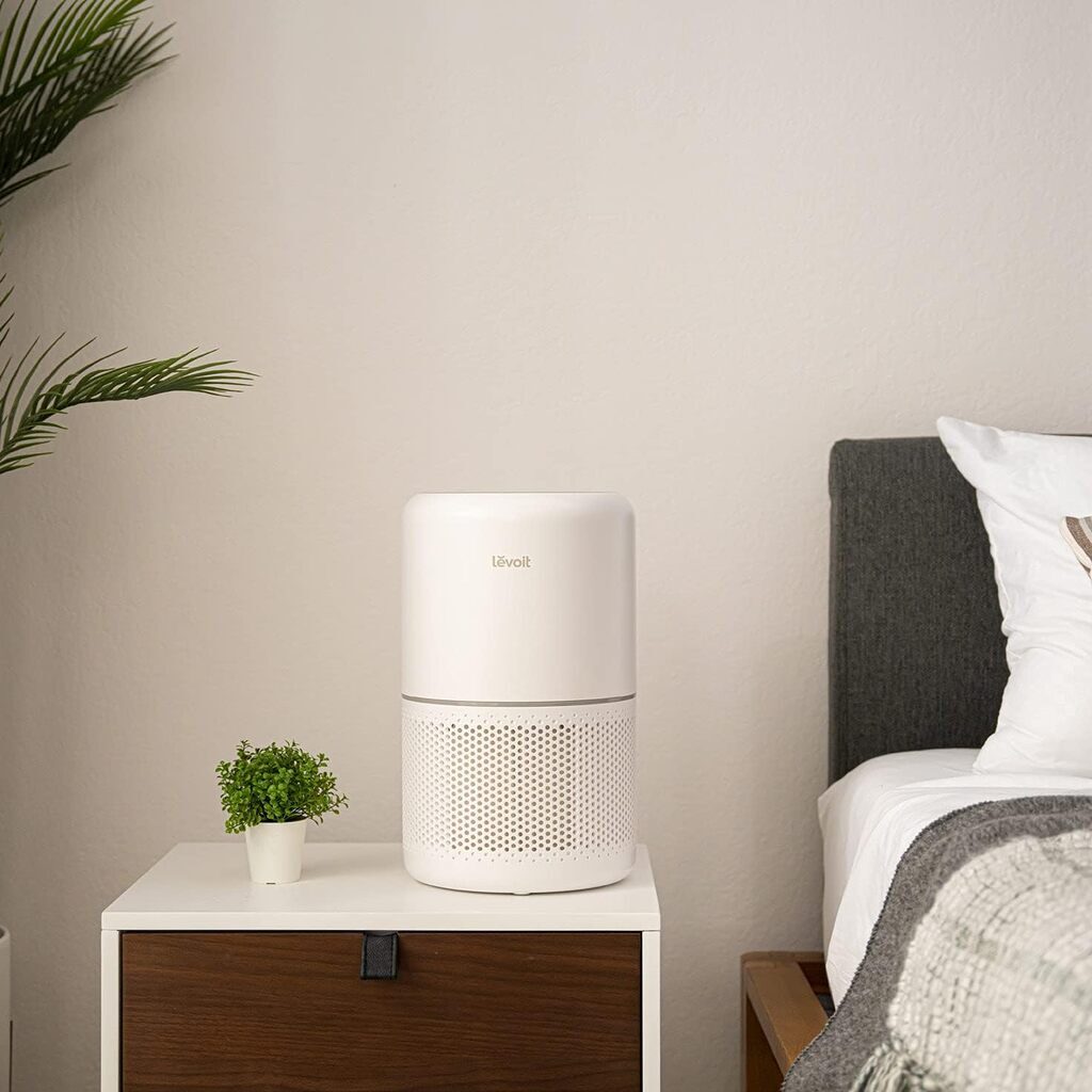 10 Best Air Purifiers for Pets 