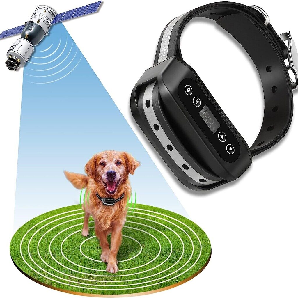 Best GPS Dog Fences