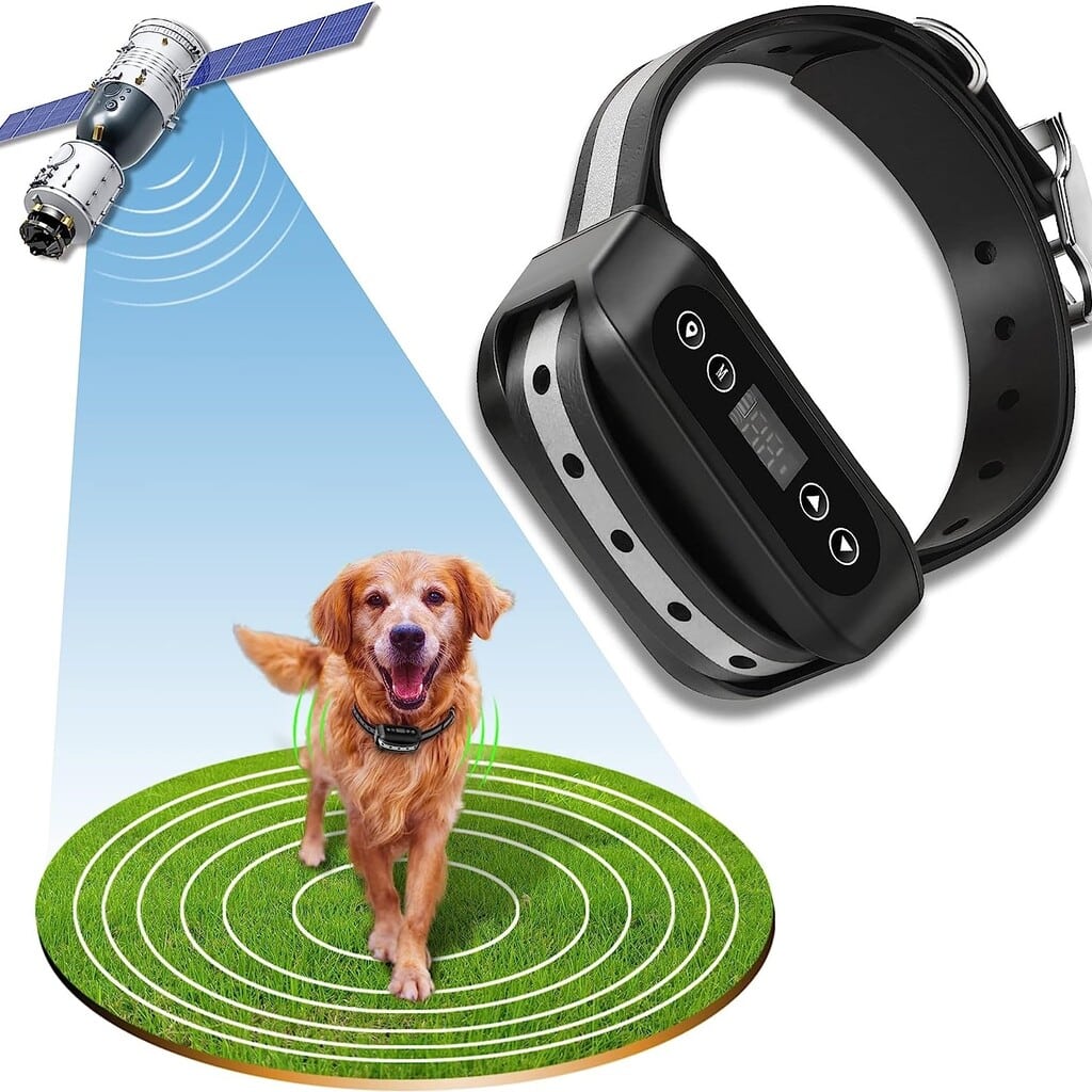 11 Best GPS Dog Fences Must Read This Before Buying