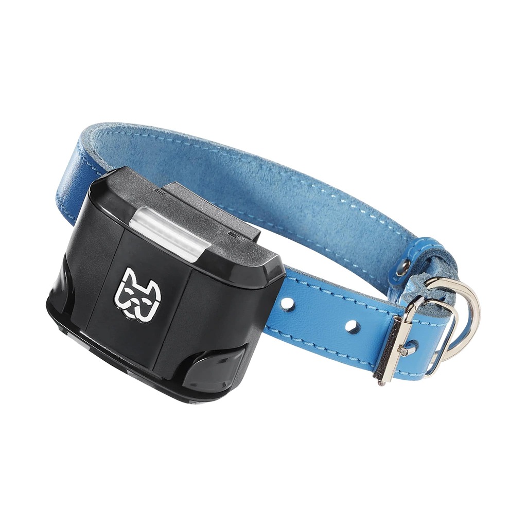 12 Best GPS Dog Fences Must Read This Before Buying