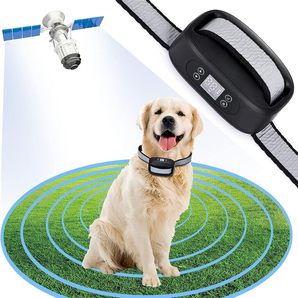 Best GPS Dog Fences