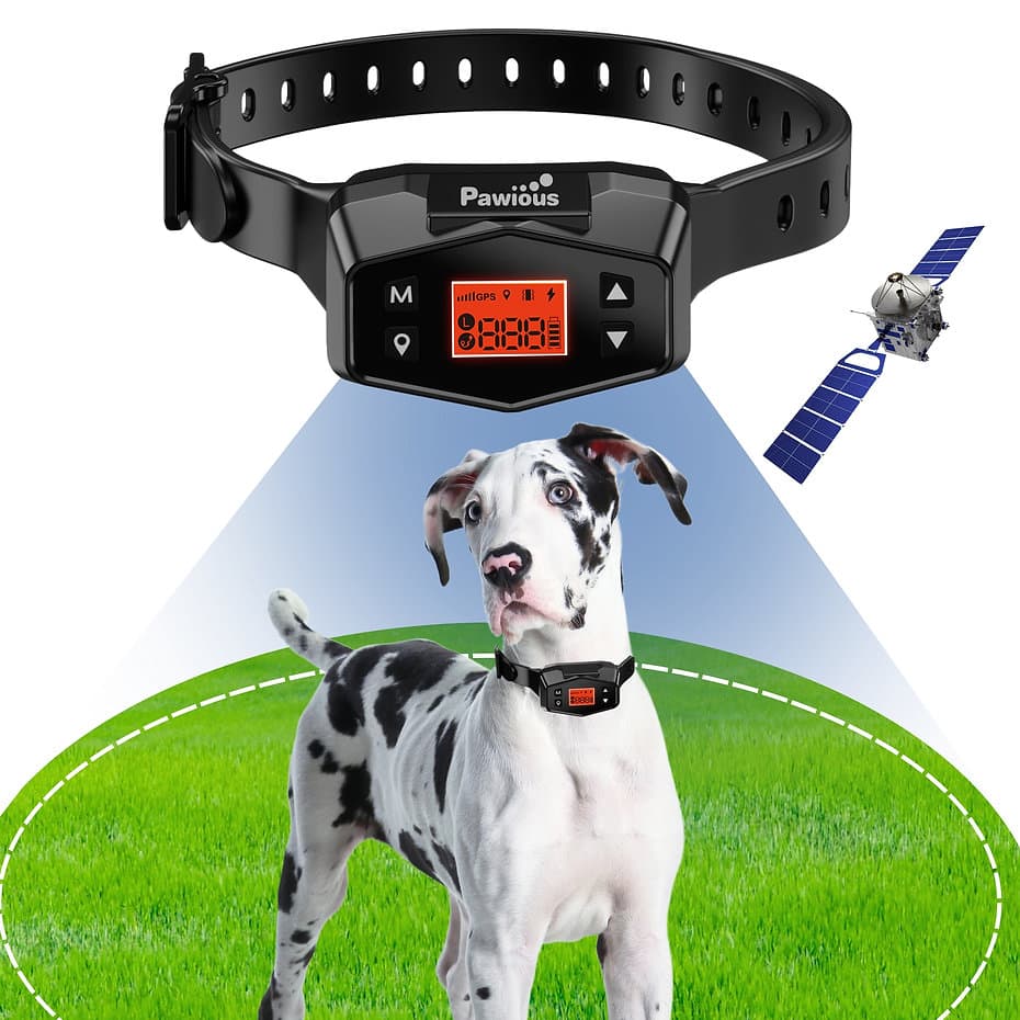 Best GPS Dog Fences