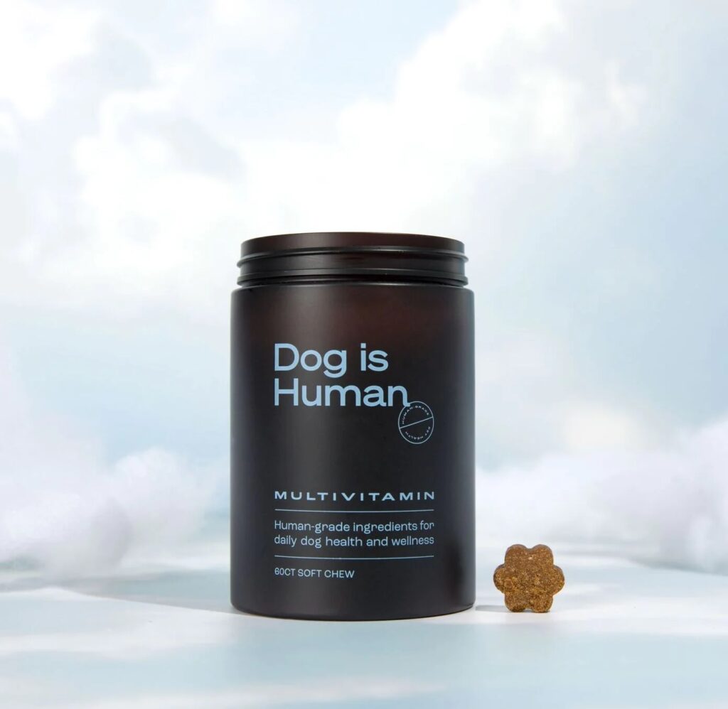 Best Human-Grade Dog Food Brands