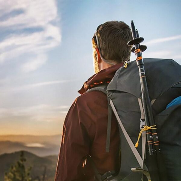 Cotosen Review Must Read This Before Buying