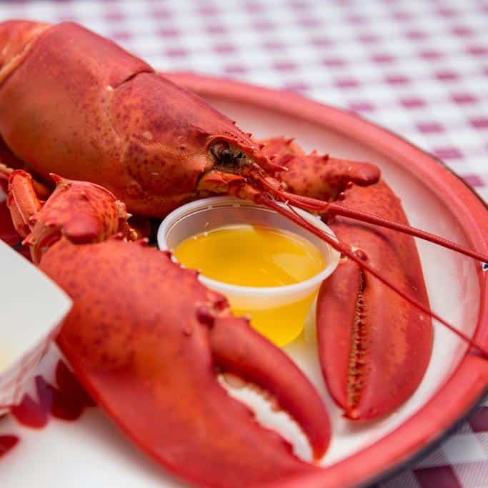 Get Maine Lobster Review  