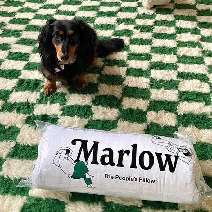 Marlow Pillow Review 
