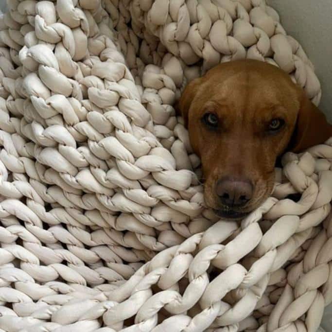 Nuzzie Weighted Blanket Review