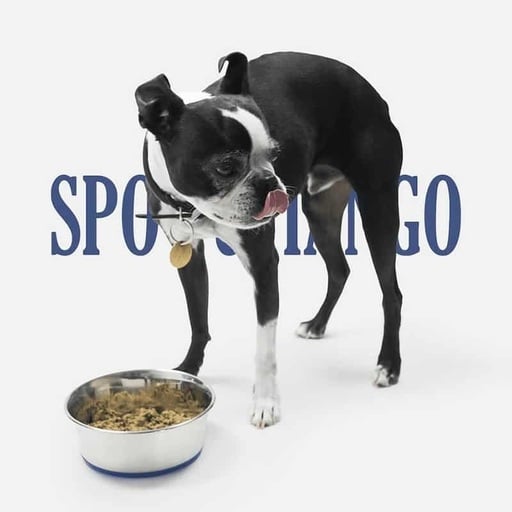 Spot and Tango Dog Food Review