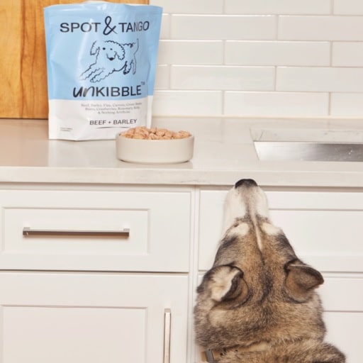 Spot and Tango Dog Food Review