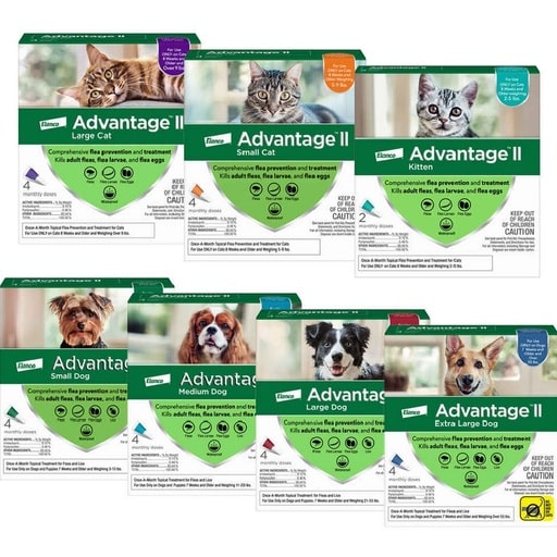 Best Flea and Tick Prevention Products