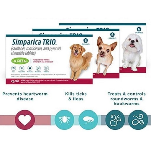 Best Flea and Tick Prevention Products