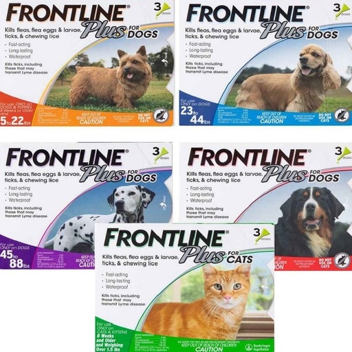 Best Flea and Tick Prevention Products