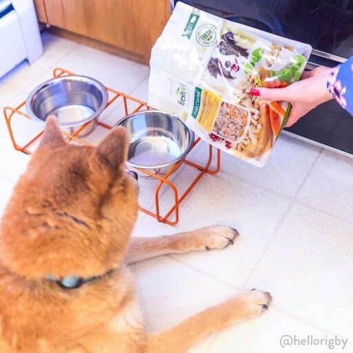 Best Fresh Dog Food Brands