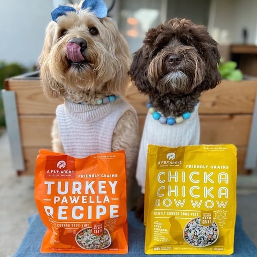 Best Fresh Dog Food Brands