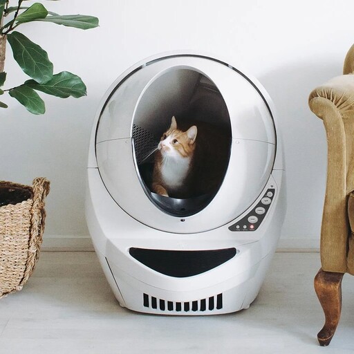 Best Self Cleaning Litter Boxes for Cat Owners in 2023