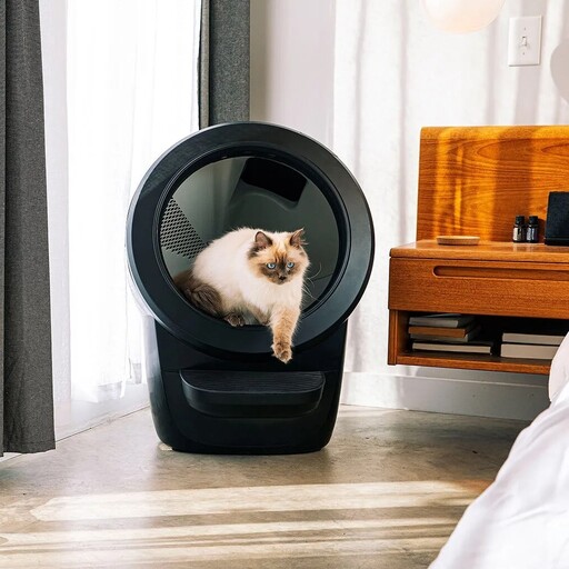 10 Best Self Cleaning Litter Boxes for Cat Owners in 2023 13 Best Self Cleaning Litter Boxes for Cat Owners in 2023
