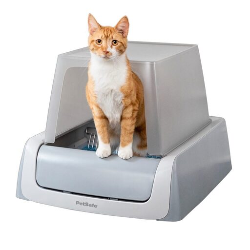 Best Self Cleaning Litter Boxes for Cat Owners in 2023