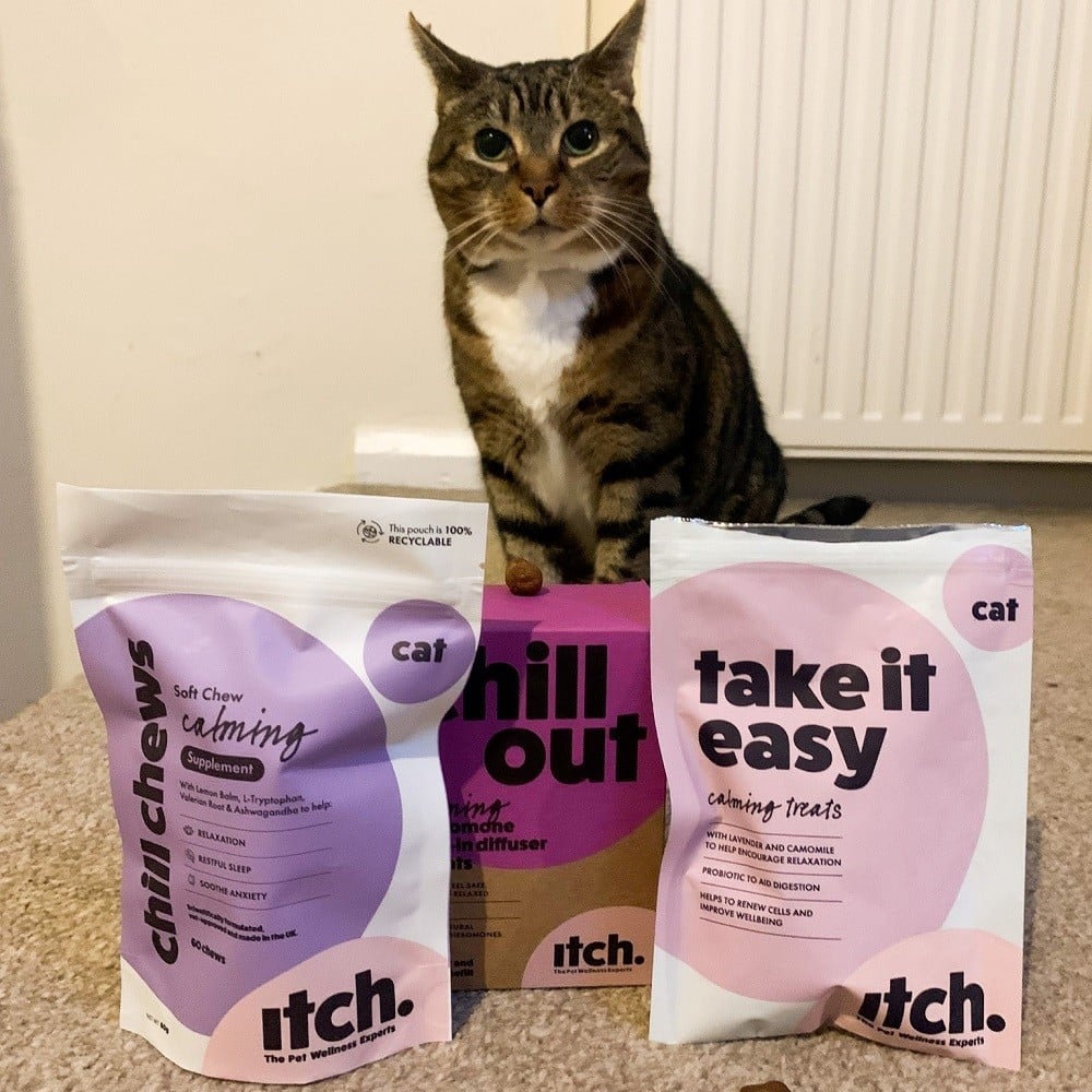 Itch Pet Review