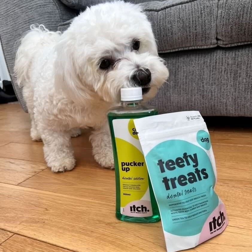 Itch Pet Review