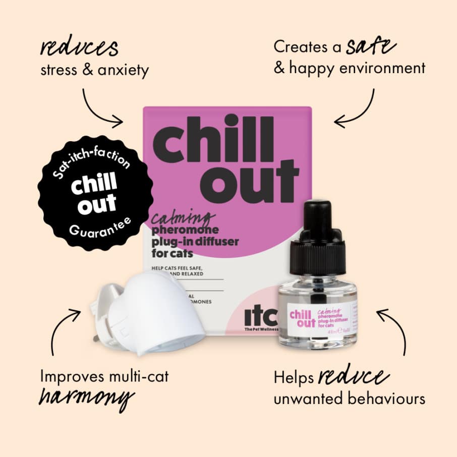 Itch Pet Chill Out Calming Pheromones Plug-in Diffuser and Refill Review