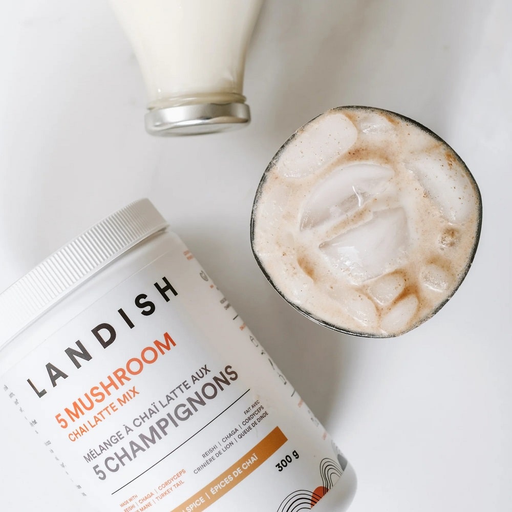 Landish Review 5 Landish Reishi Chaga Chai Latte Mix Review